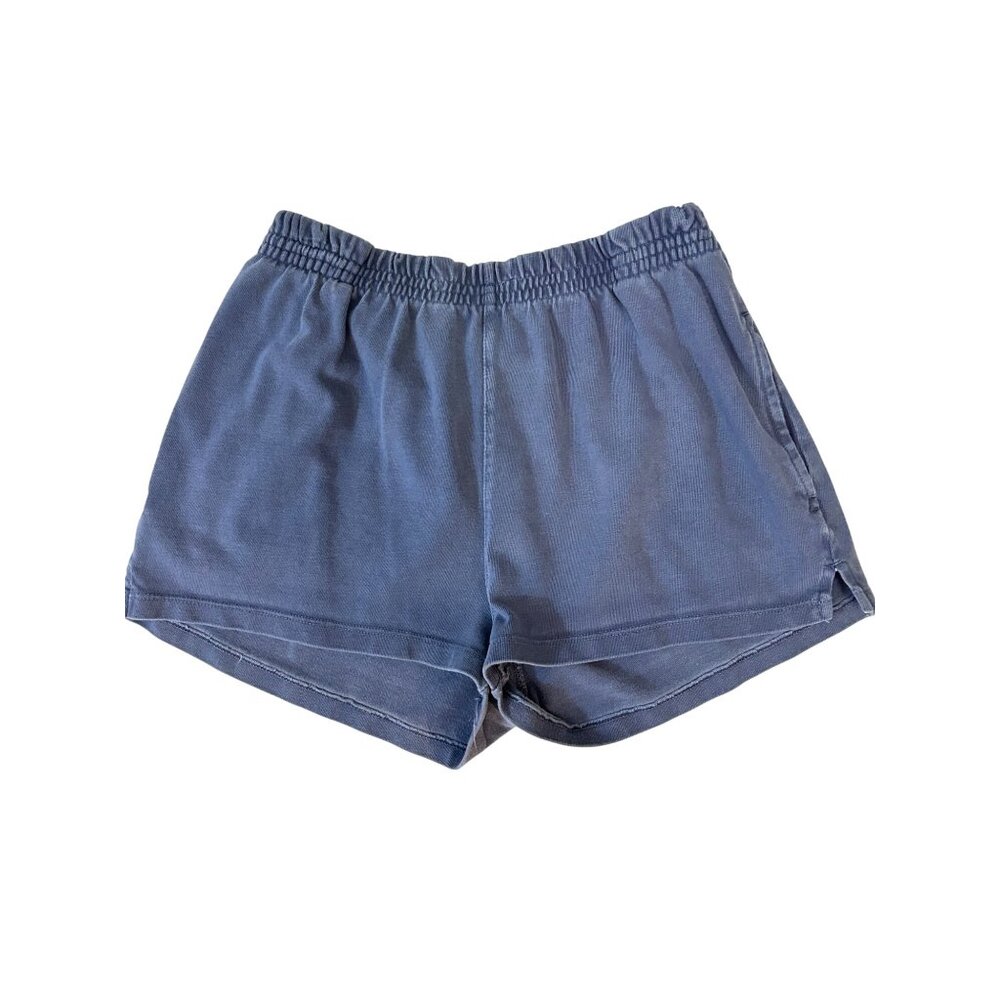 Brandy Melville Blue Athletic Shorts
